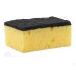 Collonil pesusieni